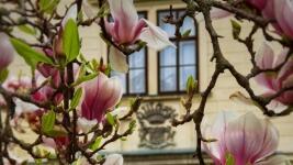 rohozec npú 13 rohoz